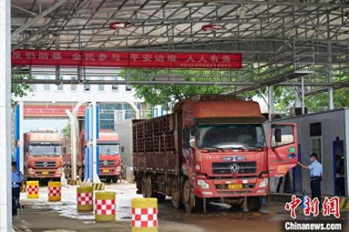 中緬邊境章鳳口岸2024年進出口貨物量突破52萬噸，國內貿易代理作用顯著