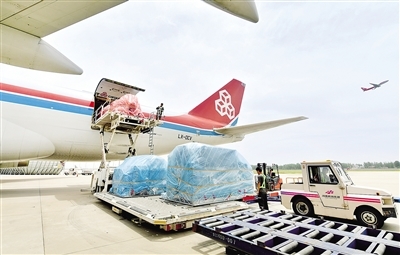 2025年河南省貨物進(jìn)出口將突破萬億大關(guān) 國內(nèi)貿(mào)易代理的機(jī)遇與挑戰(zhàn)