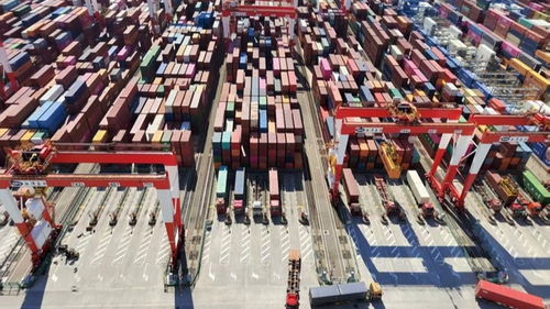 從海上起點(diǎn)到空中班車 上海激活跨境物流新動(dòng)能——活力中國調(diào)研行